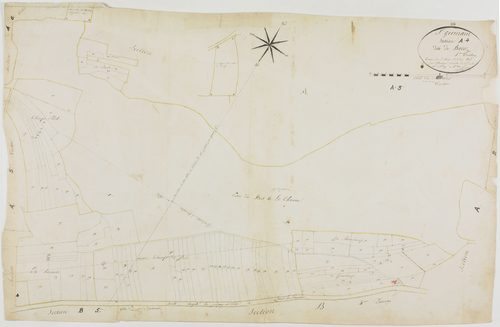 Saint-Germain-les-Arlay, section A, Bacoz, feuille 4.géomètre : Rosset