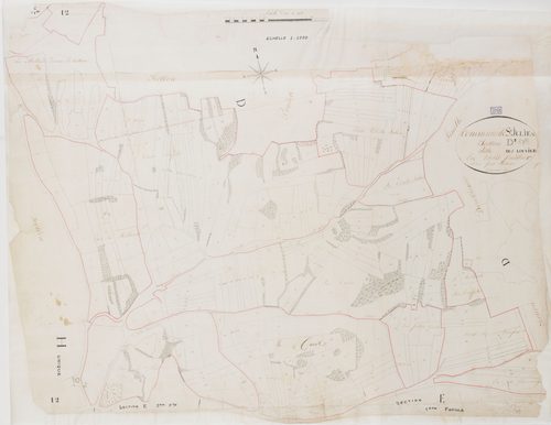 Saint-Julien-sur-Suran, section D, les Louvières, feuille 3.géomètre : Duchesne
