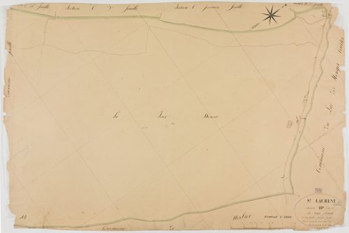 Saint-Laurent-en-Grandvaux, section D, la Joux Devant, feuille 1.géomètre : Deniset