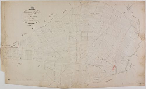 Saligney, section C, la Forêt, feuille 4.
