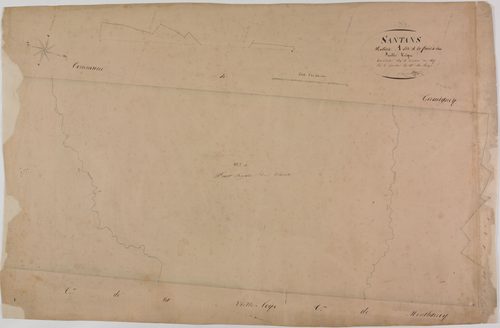Santans, section A, Forêt de Chaux, feuille unique.géomètre : Singey