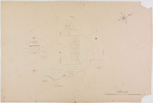 Savigna, section C, Givria, feuille 3.géomètre : Bouvard