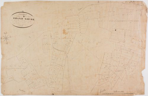 Savigna, section D, Grand Nièvre, feuille 2.géomètre : Bouvard