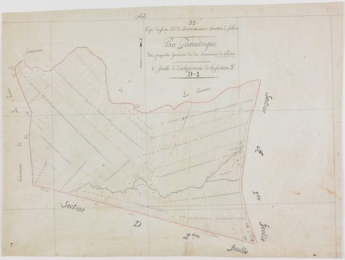 Sellières, section D, feuille 1. [vers 1808-1815?]géomètre : [pas de nom d'auteur]