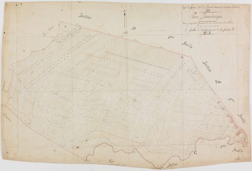 Sellières, section D, feuille 2. [vers 1808-1815?] géomètre : [pas de nom d'auteur]
