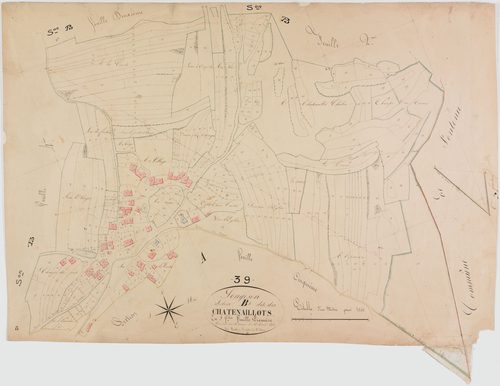 Songeson, section B, les Chatenaillots, feuille 1.géomètre : Mathieu