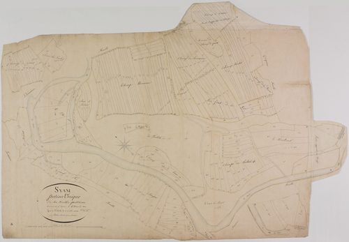 Syam, section unique, feuille 4.