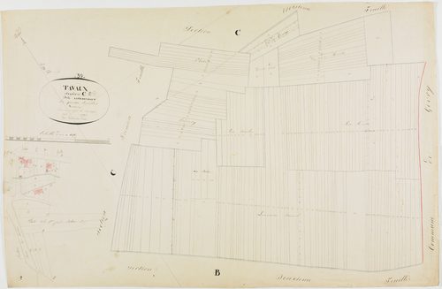Tavaux, section C, la Pie d'en Haut, feuille 2.géomètre : Duchesne aîné