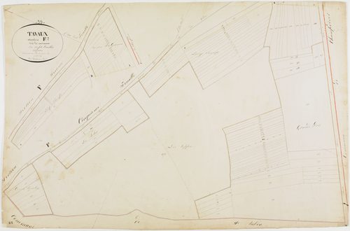 Tavaux, section F, le Couchant, feuille 7.géomètre : Duchesne aîné
