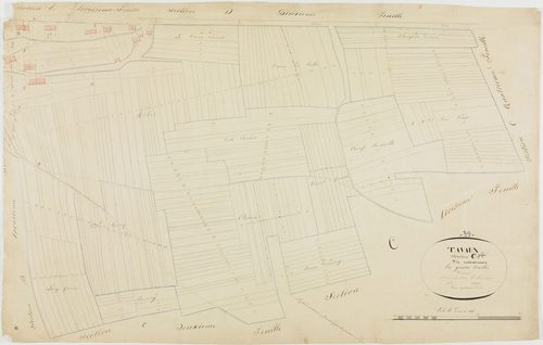 Tavaux, section C, la Pie d'en Haut, feuille 1.géomètre : Duchesne aîné