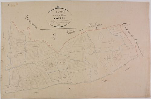 Thoissia, section C, Coiron, feuille