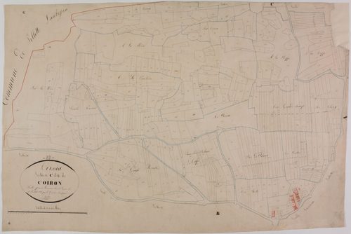 Thoissia, section C, Coiron, feuille.