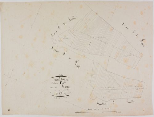 Vaudrey, section F, les Arbus, feuille 4.