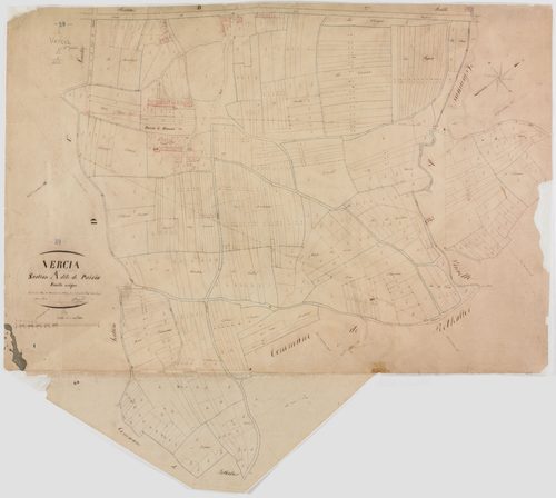 Vercia, section A , Paisia, feuille unique.géomètre : Singey