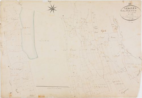 Vescles, section D, la Fin, feuille 4.géomètre : Bénier