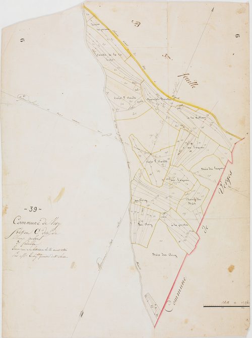 Vevy, section C, Champ Aubert, feuille 2.géomètre : Tabey aîné