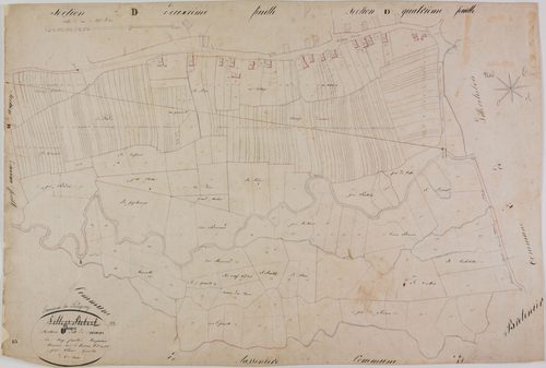 Villers-Robert, section D, Seligney, feuille 5.
