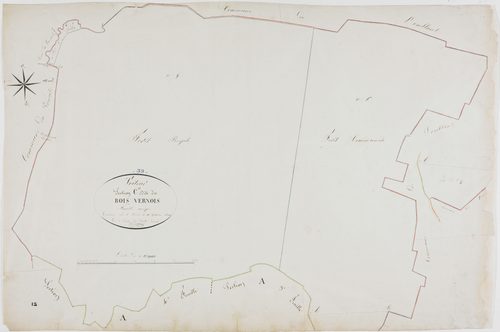 Voiteur, section C, Bois Vernois, feuille unique.géomètre : Prost