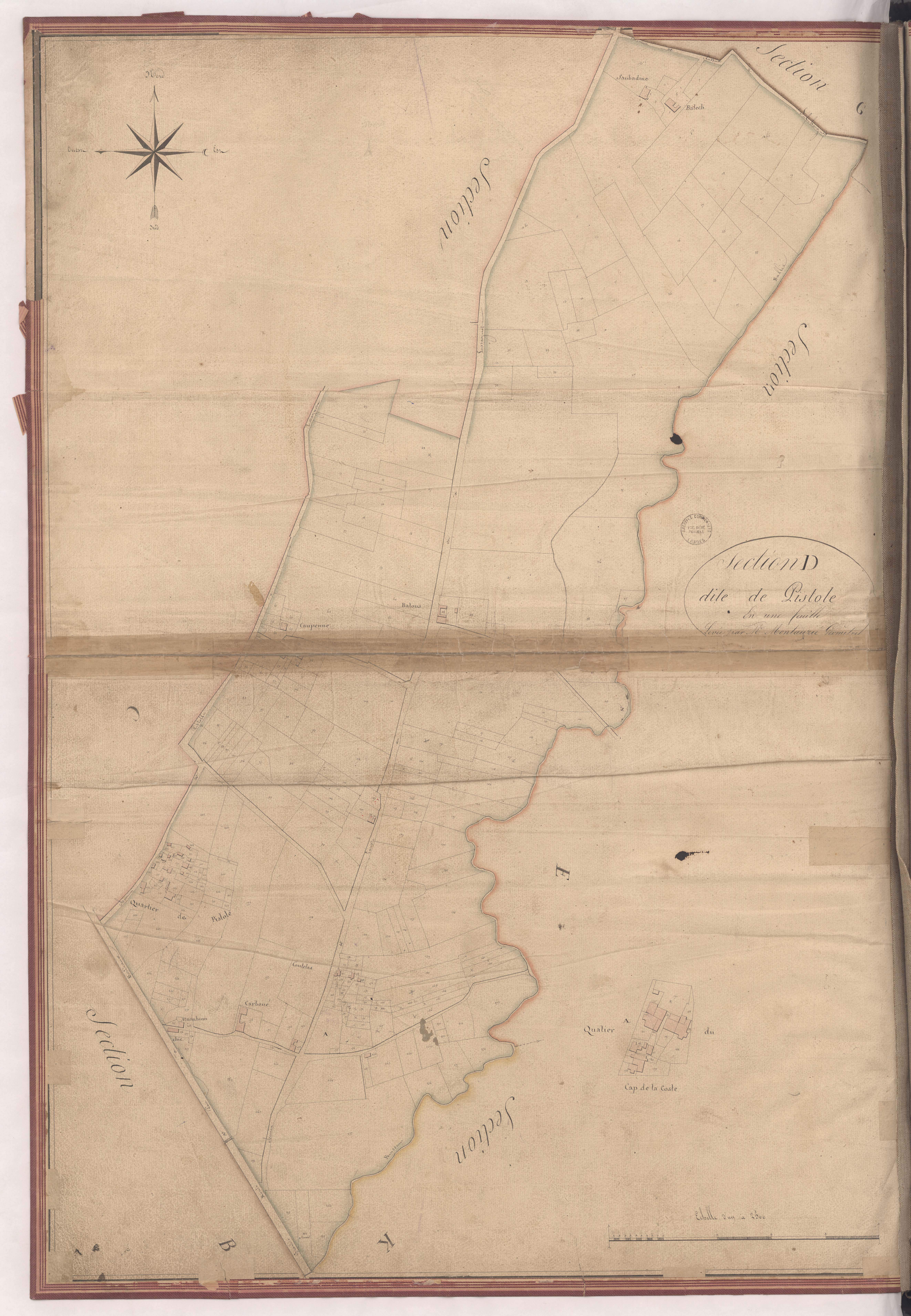 Aire-sur-l'Adour - Section D, dite de Pistole, par Montauzié géomètre