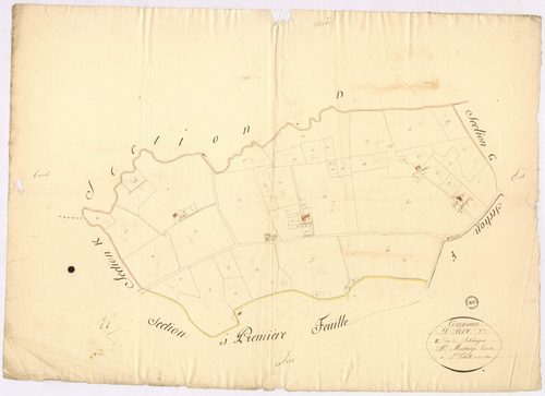 Aire-sur-l'Adour - Section E, dite de Subehargues, par Montauzié géomètre