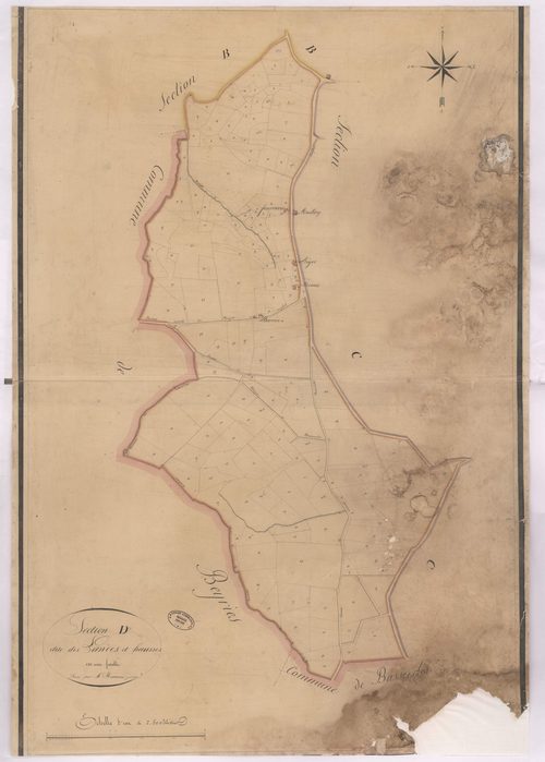 Argelos - Section D, dite des Landes et Hausse, par Montauzié géomètre
