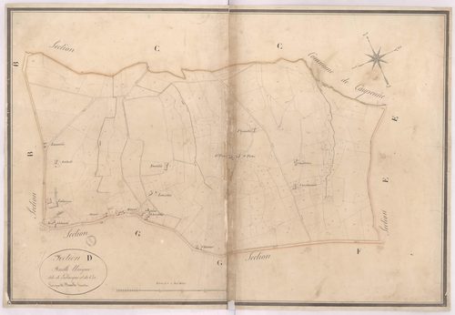 Baigts - Section D, dite de Labasque et du Cos, par Dimulle géomètre