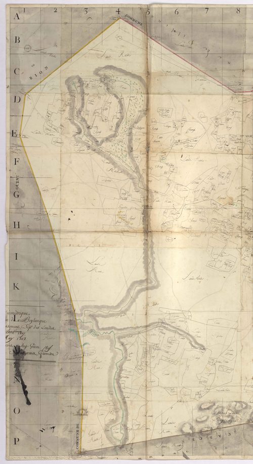 Beylongue - Plan géométrique de la commune de Beylongue, par Lobgeois et Saint-Aurens, géomètres