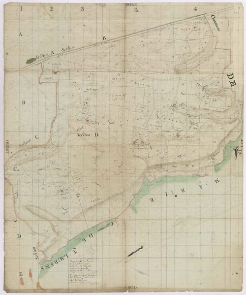 Biarrotte - Section D, dite de Dolée, par Lobgeois et Prèneron, géomètres