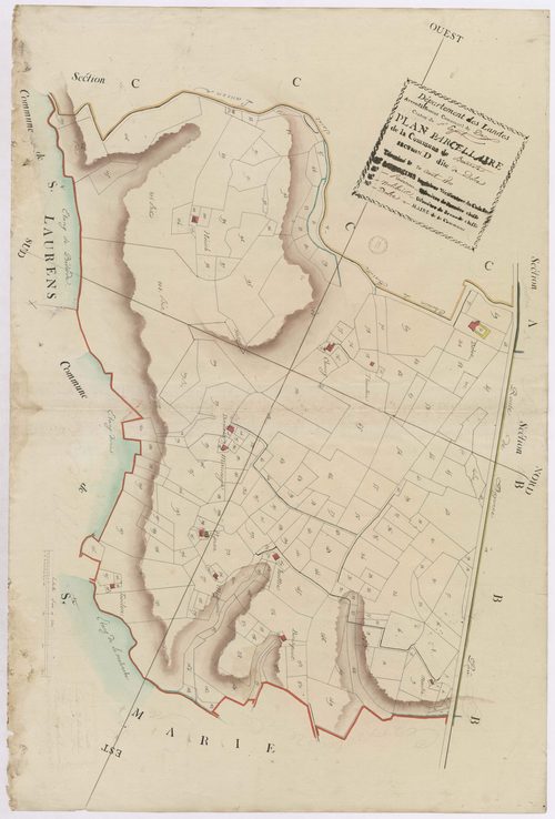 Biarrotte - Plan parcellaire de Biarotte, section D, dite de Dolée, par Lobgeois, Prèneron et Nolibois, géomètres