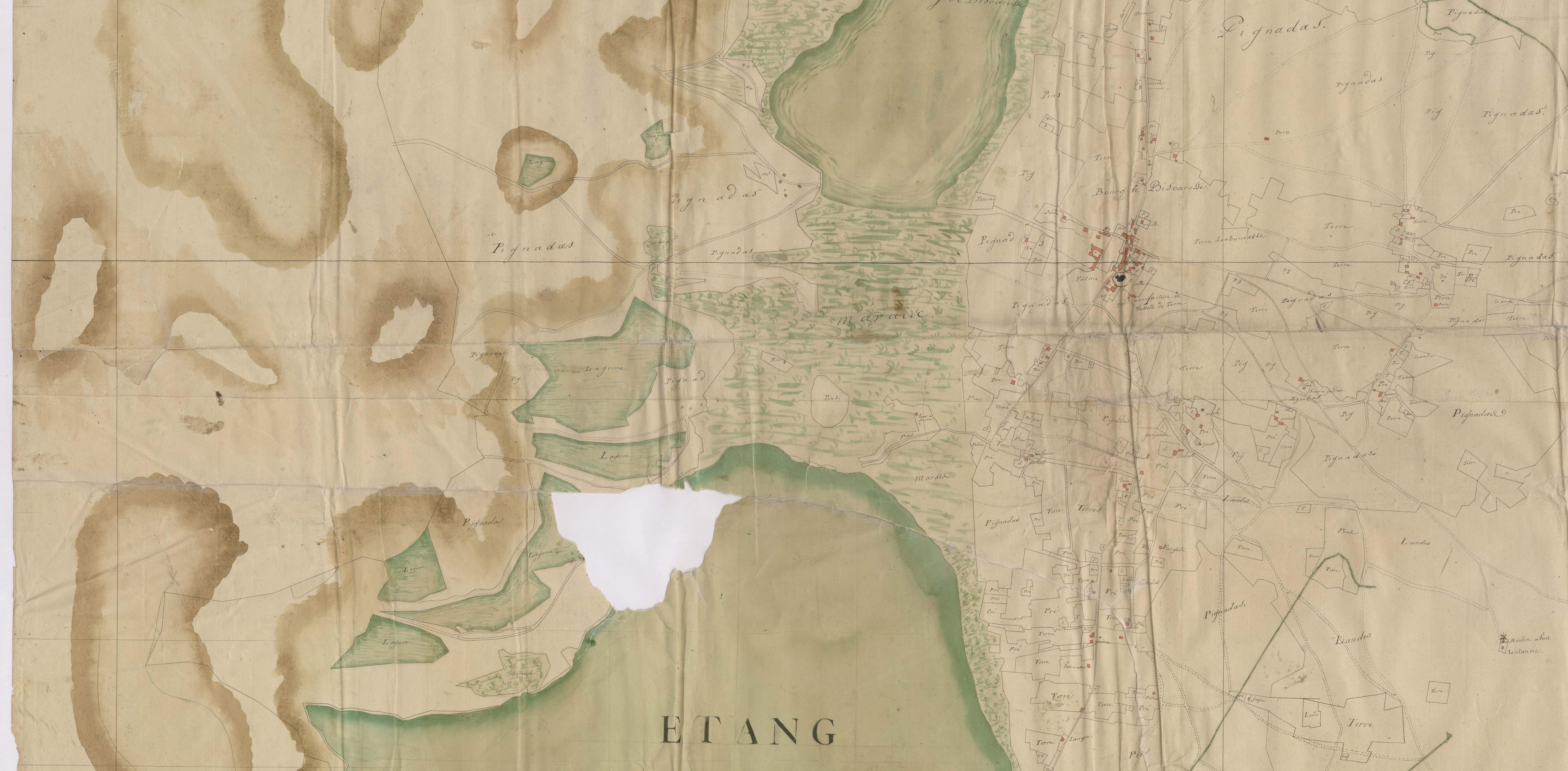 Biscarrosse - [Plan géométrique de l'Etang de Cazaux et alentours, par Lobgeois et F. Sarrazain, ingénieur et géomètre]