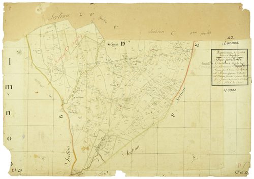 Bourriot-Bergonce - Section C, feuille 3 et section D