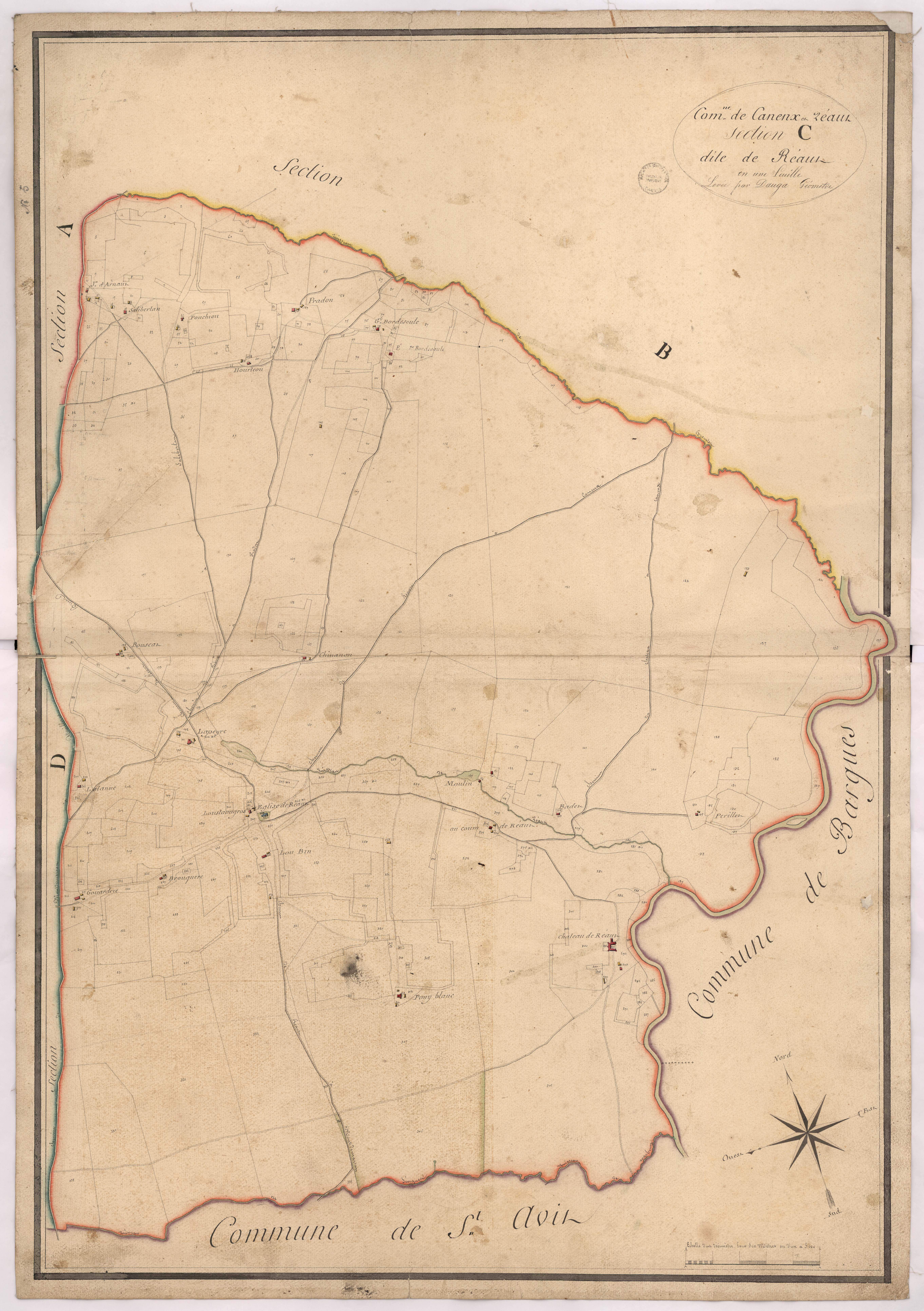 Canenx-et-Réaut - Section C, dite de Réaut, par Dauga géomètre