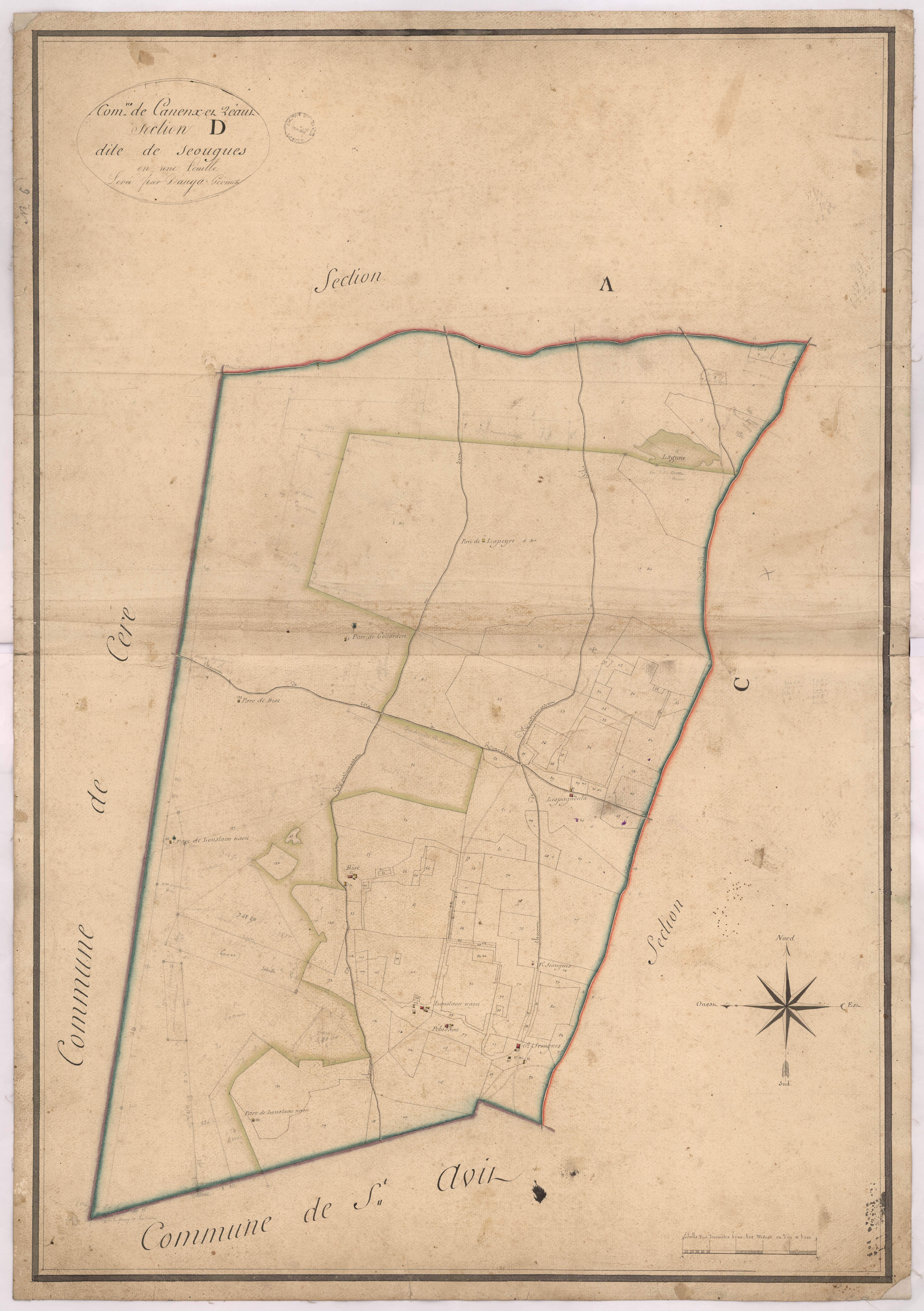 Canenx-et-Réaut - Section D, dite de Séougues, par Dauga géomètre