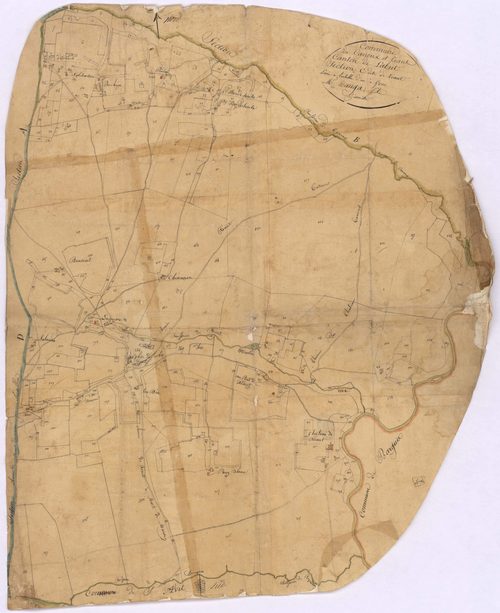Canenx-et-Réaut - Section C, dite de Réaut, par Dauga fils géomètre