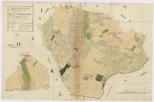 Castandet - Plan parcellaire de la section D, dite de Mandillot, par Lobgeois, Lagrolet et Dauga, géomètres