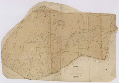 Cauneille - Plan de la section du Boscq