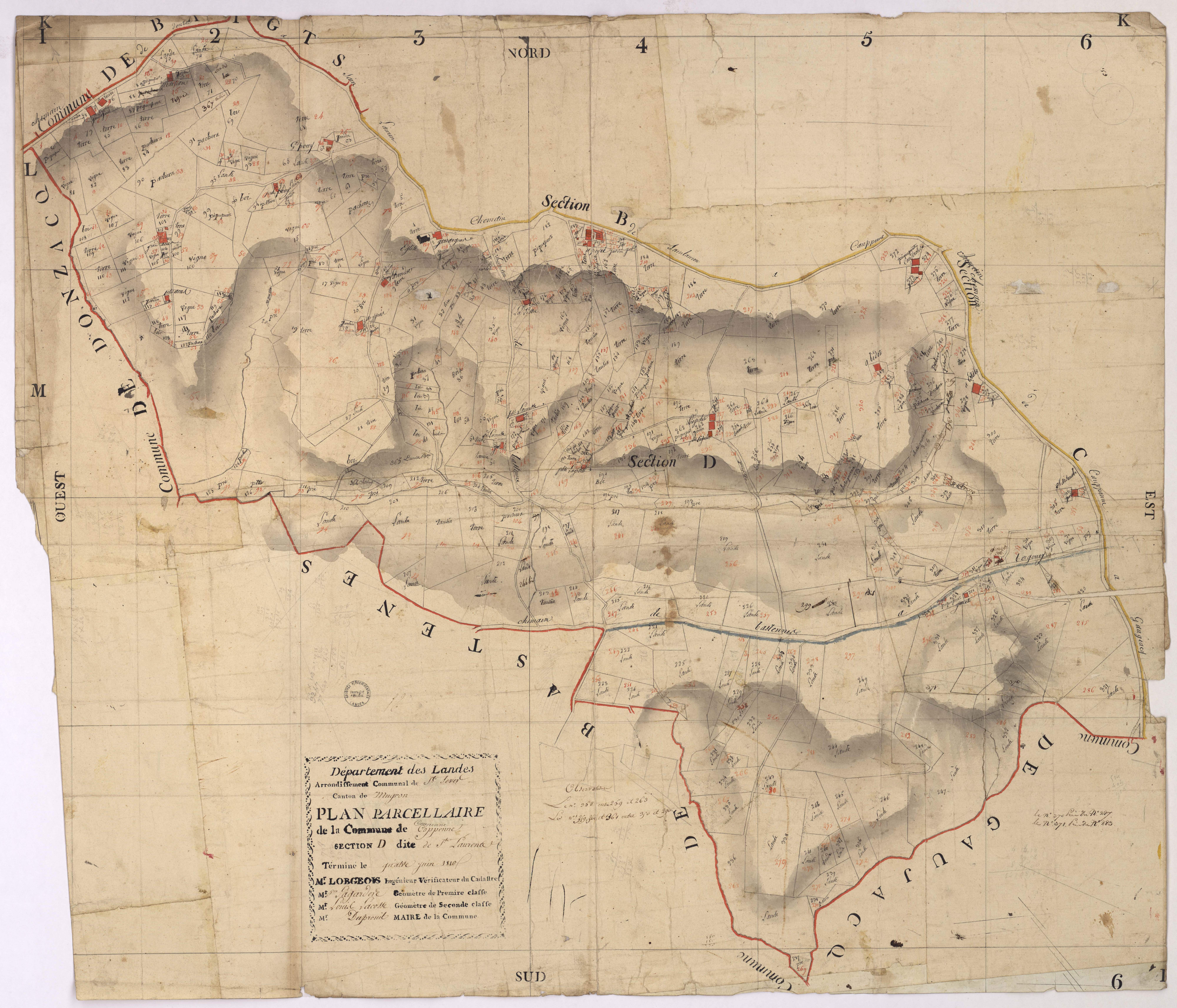 Caupenne - Plan parcellaire de la section D, dite de Saint-Laurent, par Lobgeois, Lagardère et Lacosse, géomètres