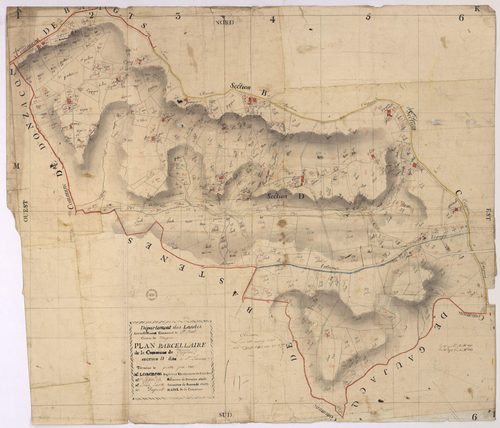 Caupenne - Plan parcellaire de la section D, dite de Saint-Laurent, par Lobgeois, Lagardère et Lacosse, géomètres