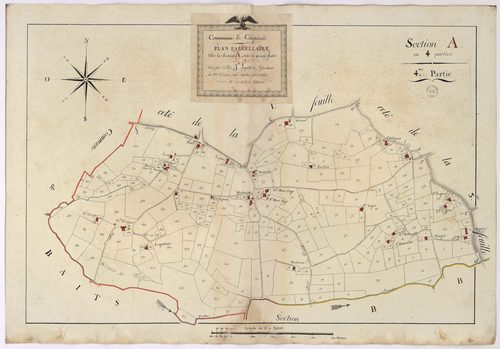 Caupenne - Plan parcellaire de la section A, dite de Jeune bois, 4e partie, par Lagardère géomètre