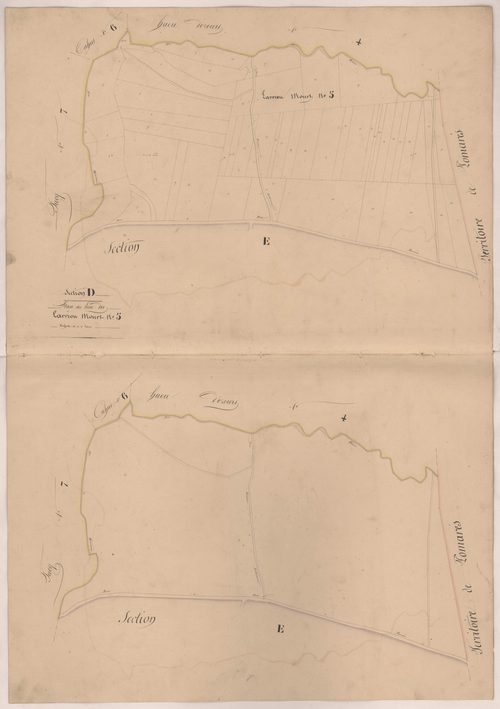 Clermont - Plan du lieu-dit Larriou Mourt, n° 5