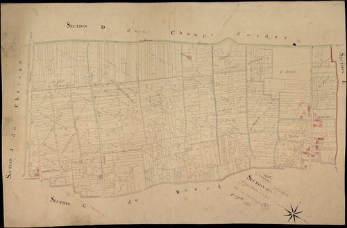 Avaray - 3 P 2/8/9 - - Avaray : plans du cadastre napoléonien. Section F dite des vignes blanches et du haut du tertre