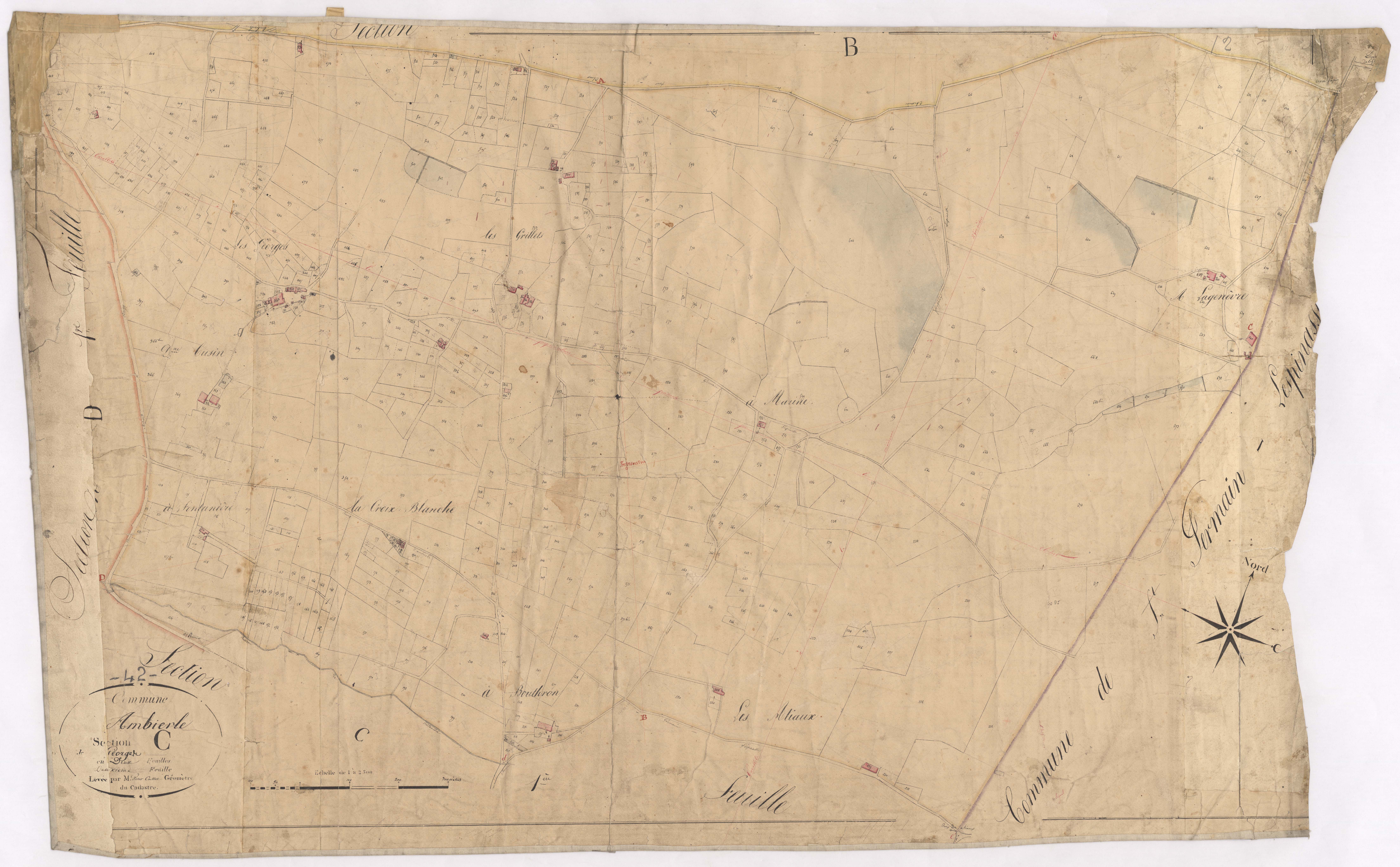 Ambierle - 1712VT1_9 - Section C 2 (Les Georges) : plan levé par Victor Caillot à l'échelle 1:2500. [1828]