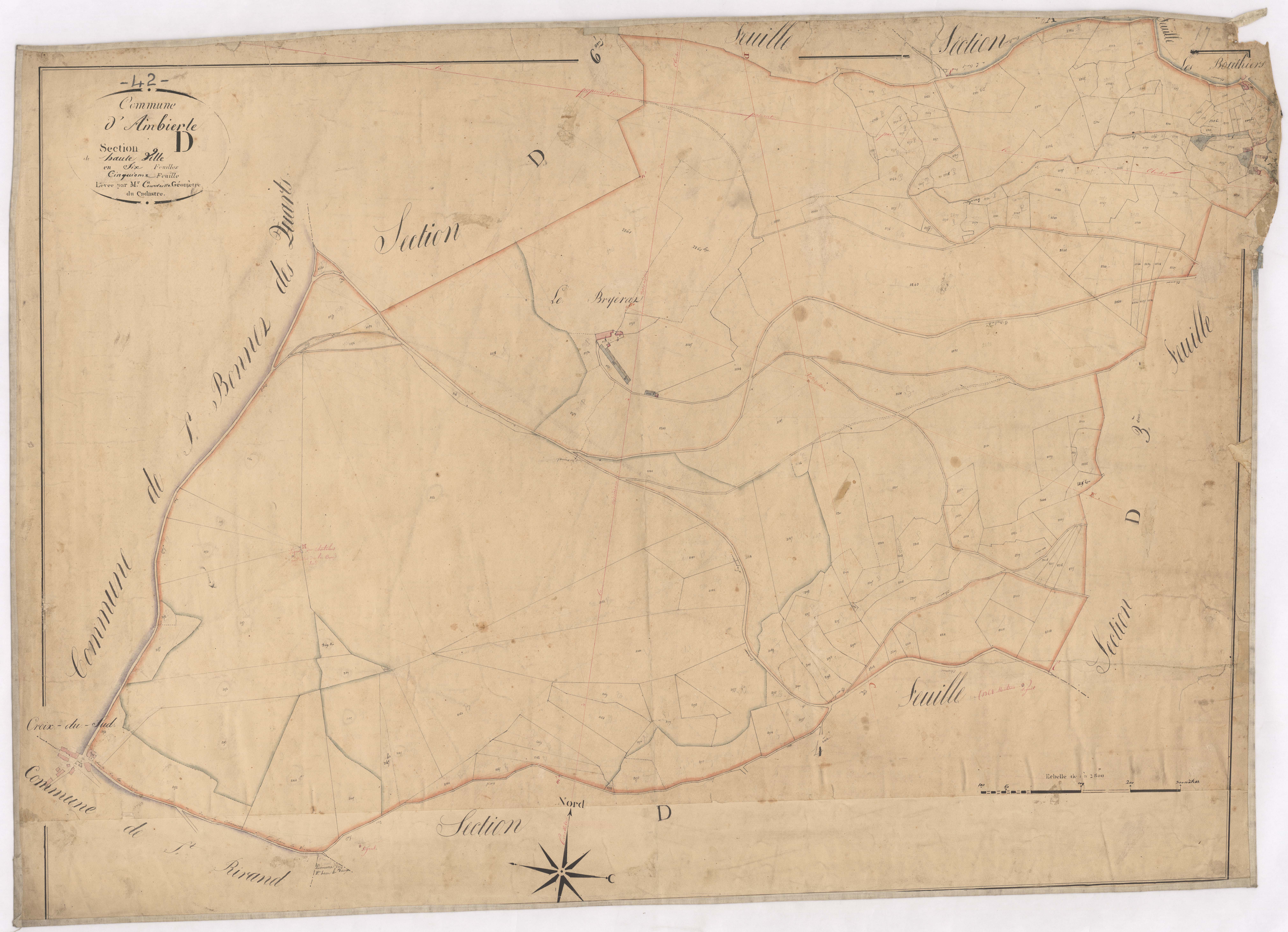 Ambierle - 1712VT1_14 - Section D 5 (Hauteville) : plan levé par Courveille à l'échelle 1:2500. [1828]