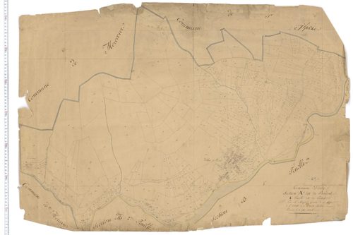 Ally - Section A 1