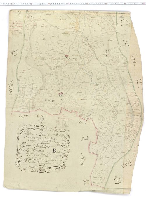 Félines - Section B 3, feuille 2
