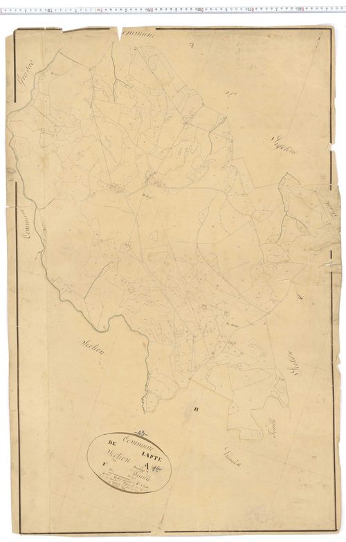 Lapte - Section A 1