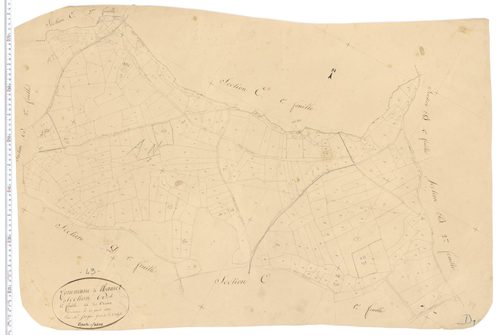 Rauret - Section D 1