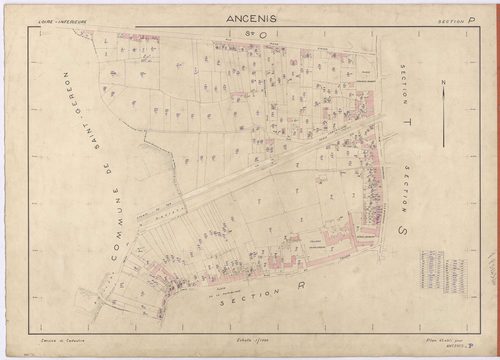 Ancenis - Section P 1-229