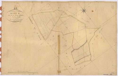 Arthon-en-Retz - Section B3 Grande-Bodinière (section de La)
