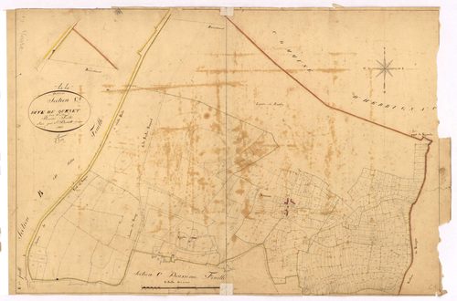 Assérac - Section C1 Quenet (section du)